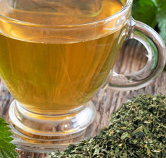 Nettle Tea Organic