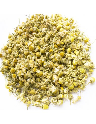 Chamomile Organic