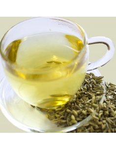 Fennel Seed Tea Organic
