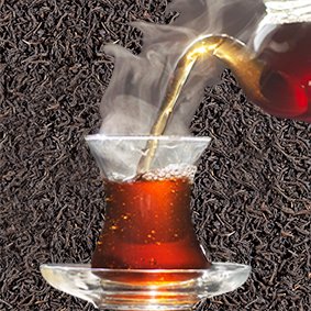 Campfire Blend