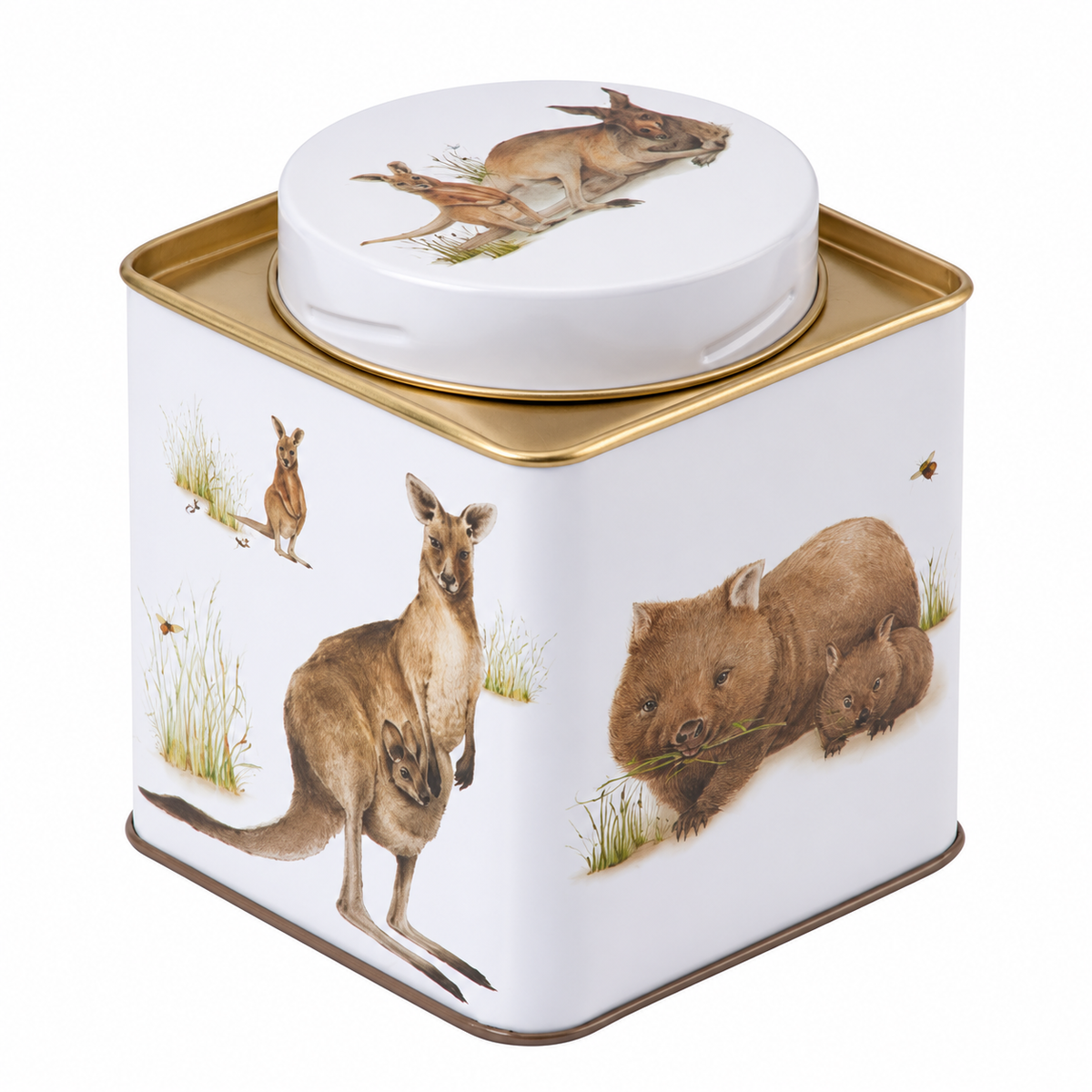 Tea Caddy Australian Animals Square Large