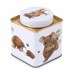 Tea Caddy Australian Animals Square Large