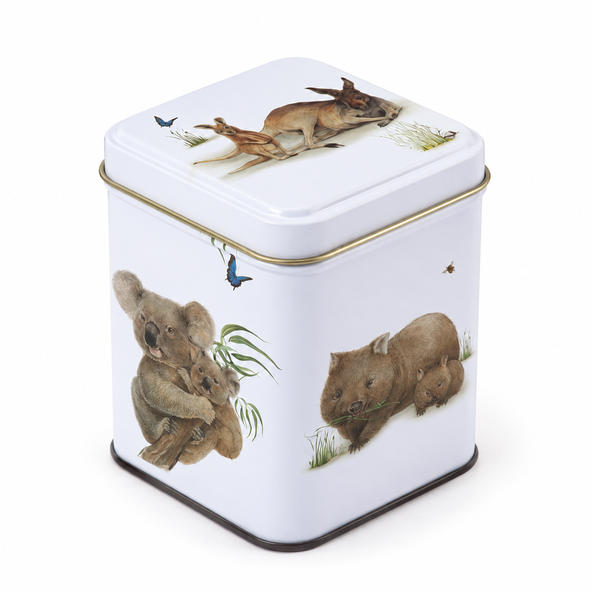 Tea Caddy Australian Wildlife Animals Square