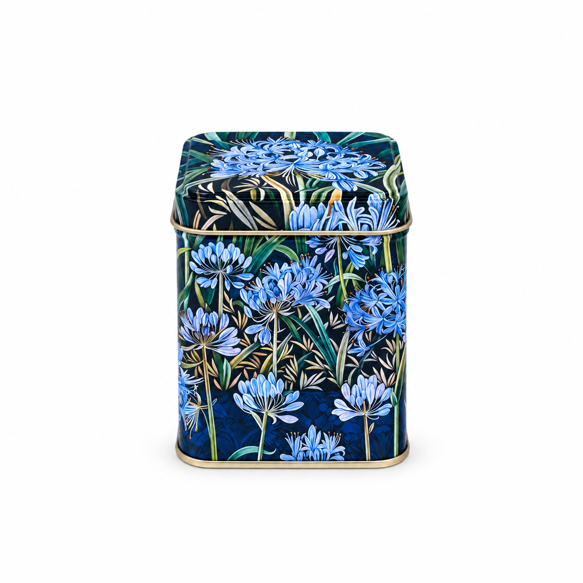 Tea Caddy square Arts and Crafts 'Agapanthus'