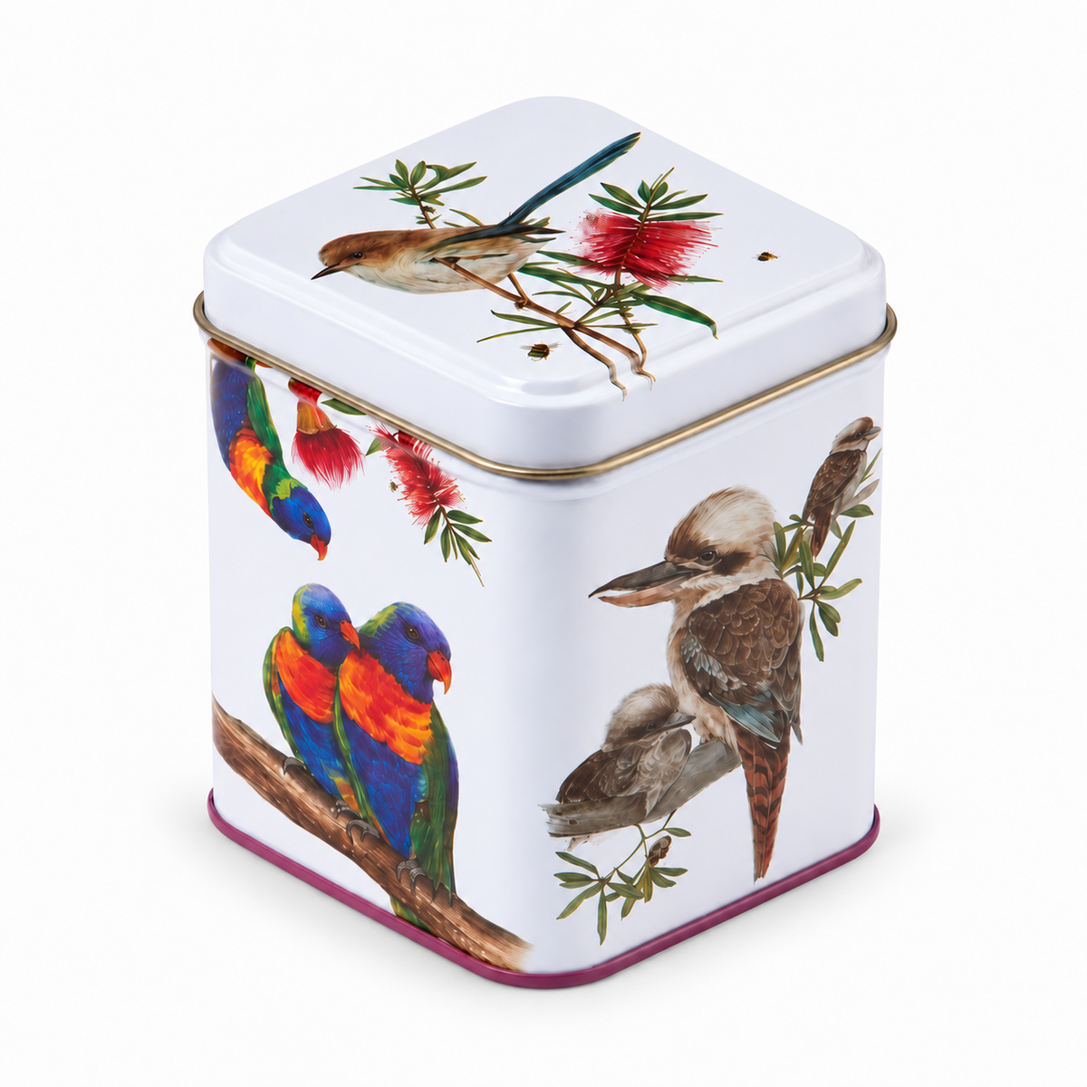 Tea Caddy Australian Wildlife Birds Square