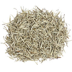 Silver Needle White Tea